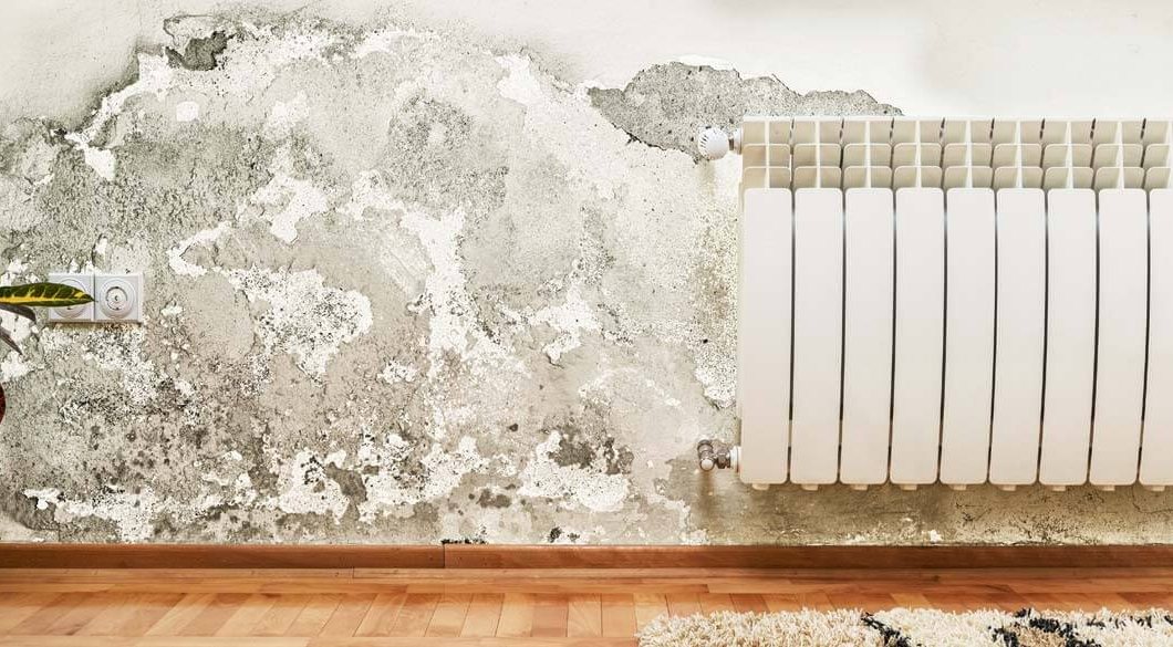 Damp and crumbling plaster spreading across the wall of a rented home